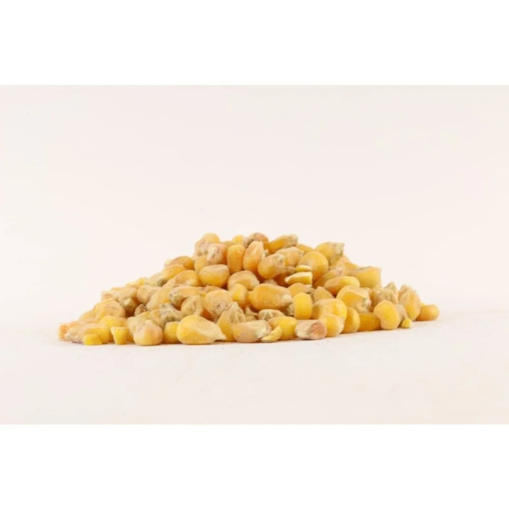 Evezet Droog Mais Heel 5 Kilo 2 Evezet Droog Mais Heel 5 Kilo - Afbeelding 2