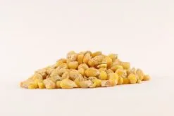 Evezet Droog Mais Heel 5 Kilo