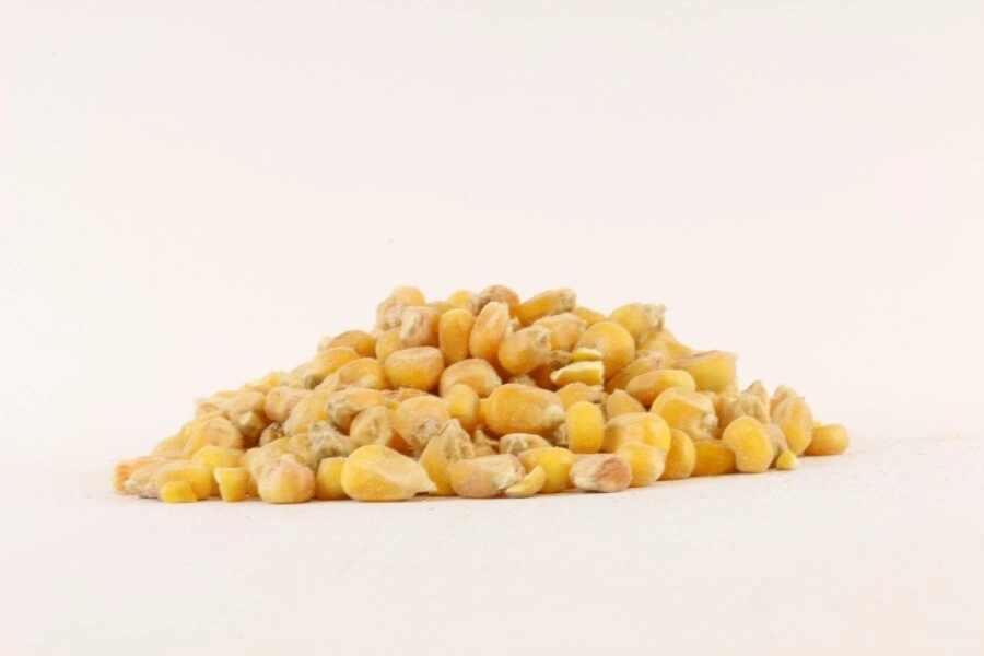 Evezet Droog Mais Heel 5 Kilo 1 Evezet Droog Mais Heel 5 Kilo