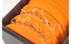 Guru Rig Box -Hengels Verkoop guru rig box 2