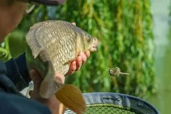 Matrix Fishing Inline Pellet Feeder -Hengels Verkoop matrix fishing inline pellet feeder 3