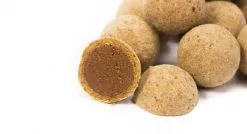 NASH Scopex Squid Cultured Pop Ups