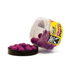 Solar Clubmix Fluoro Pop-Ups