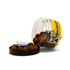 Solar Clubmix Hardened Hookbaits + Amino Liquid