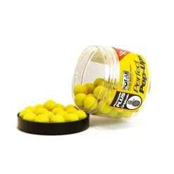 Solar Pineapple Pop-Ups