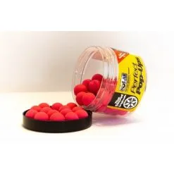 Solar Secret Pop-Ups